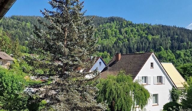 Rebberg 1 Holiday Apartment with Balcony and Wi-Fi