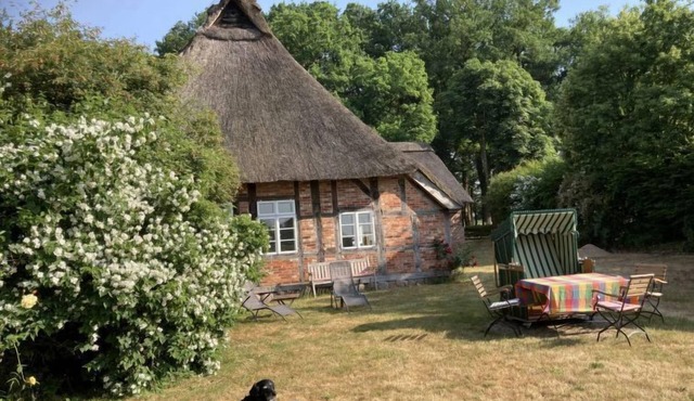 Reethuus by Interhome