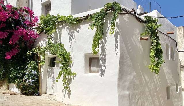 Renovated house in the historic center
