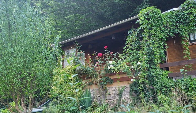 Romantische Gartenlaube mit Elbblick