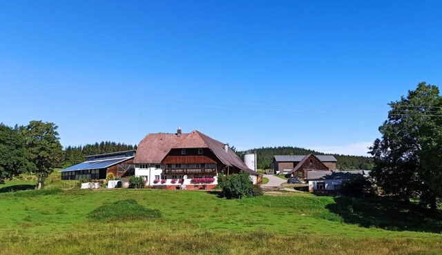 Sugar Farm Weideblick