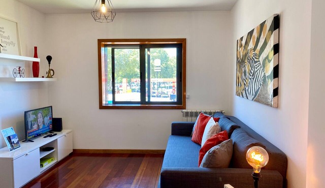 S. João Campus Porto Apartment