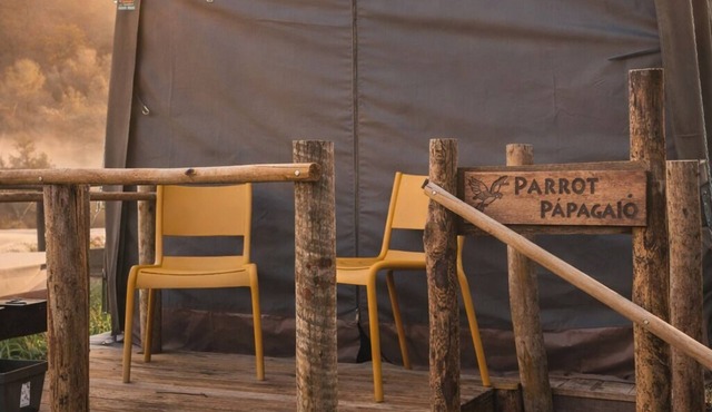 Safari Glamping Portugal Parrot