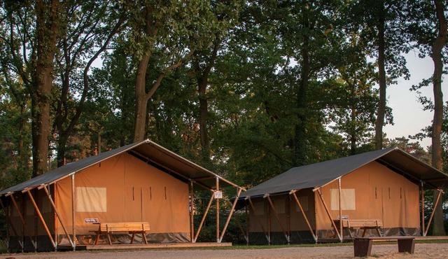 Safari tents on the beach at Ternscher See