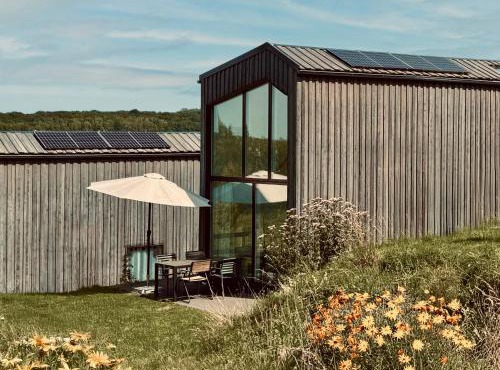 Scandi Micro House
