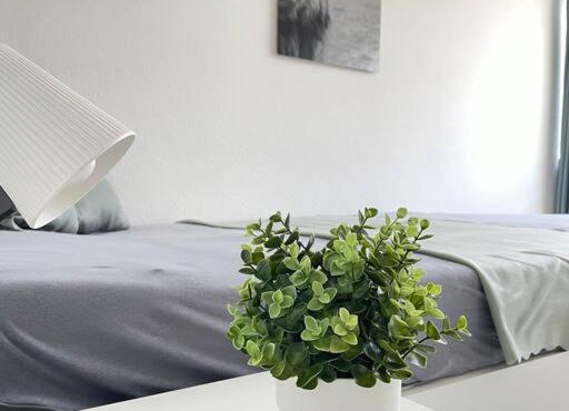 Schöne Wohnung an der Hochschule Niederrhein