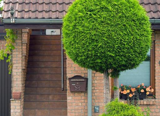 Schöner Blick
