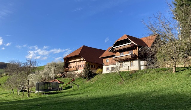 Schwörerhof Apartment with Mountain View, Private Terrace, and Wi-Fi
