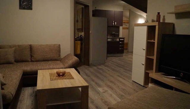 Sebastian vacation apartment & 95 m² apartment with pool in Romantic Franconia near