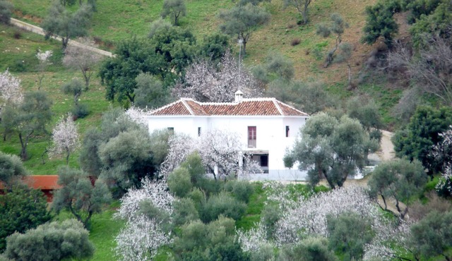 Secluded country house with pool in beautiful setting, views