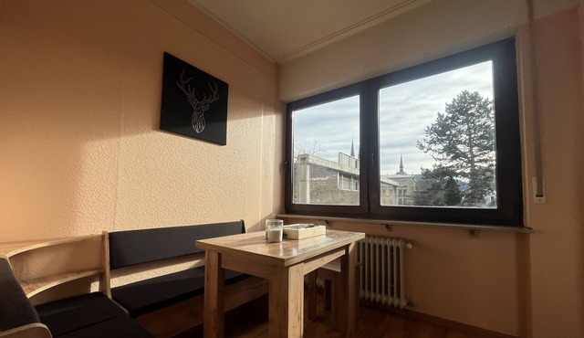 Simplex Apartments an der Dreisam