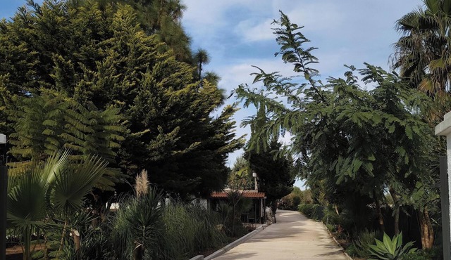 Small country house on the Costa Blanca, 6 km from Denia