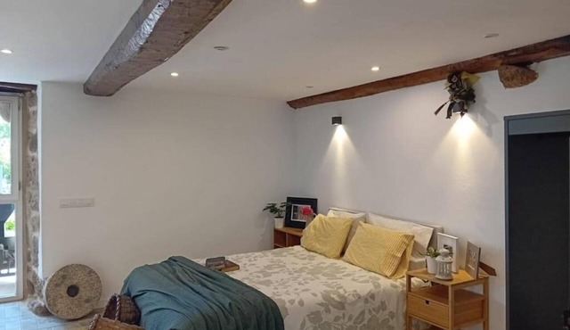 Spacious apartment built in the traditional style