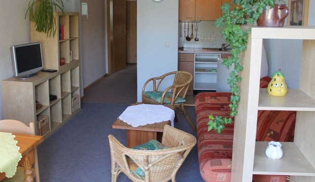 Spacious Apartment with Garden in Rerik Germany