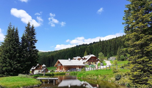 Spacious holiday home with sauna and whirlpool