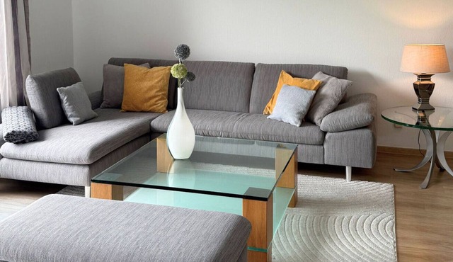 Spacious, modern non-smoking vacation apartment (90m2) with free WLAN