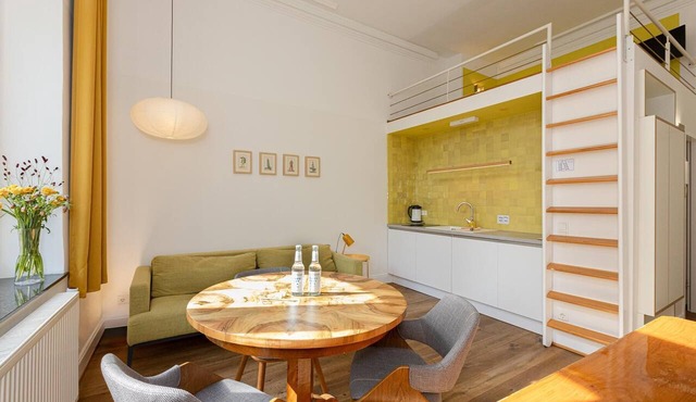 Spacious studio apartment with sleeping gallery