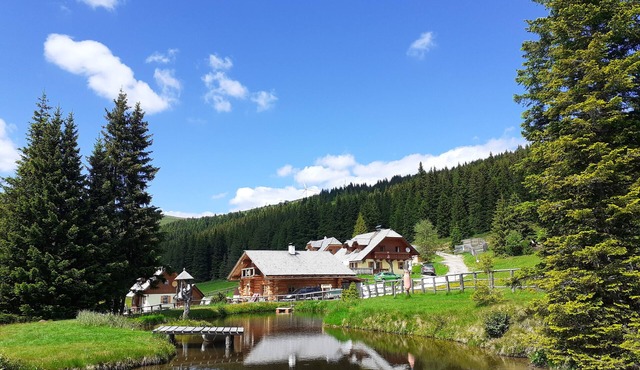 Spacious vacation home with sauna and whirlpool