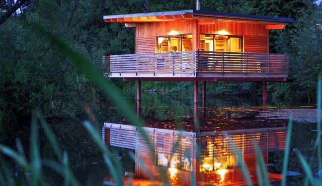 Spectacular tiny house in a pond with terrace and fireplace