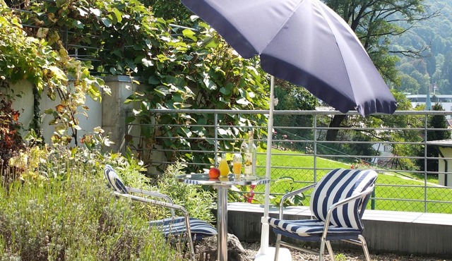 * Studio apartment on the Sonnhalde with small Garden * Very good area in Freiburg