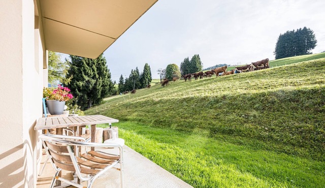 Studio Apartment '2 - L'Edelweiss' with Mountain View, Shared Garden and Wi-Fi