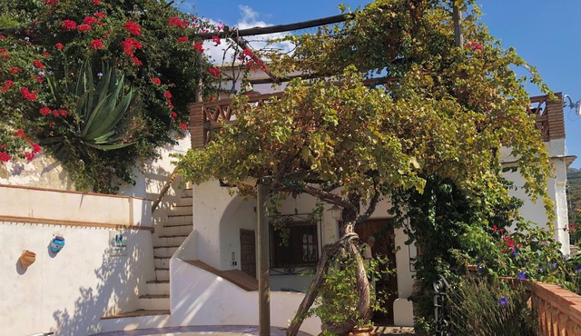 Stunning Views from Vine Terraces Down Rio Chico Valley