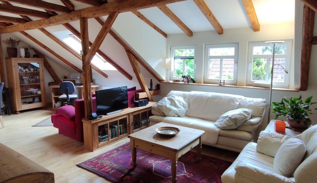 Stylishly furnished apartment in Rathmannsdorf in the Zauketal, allergy sufferers