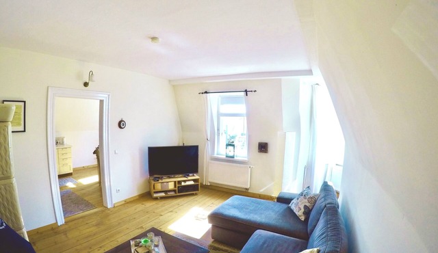 Stylishly renovated old apartment in a listed city villa near the Elbe cycle path