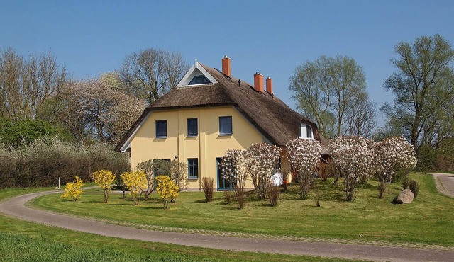 Sunny thatched house - vacation thatched house, 3 bedrooms, fireplace, internet radio, garden,