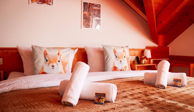 Sweet Squirrel – Double Room for 2 with Panoramic Views and Sunny Balcony