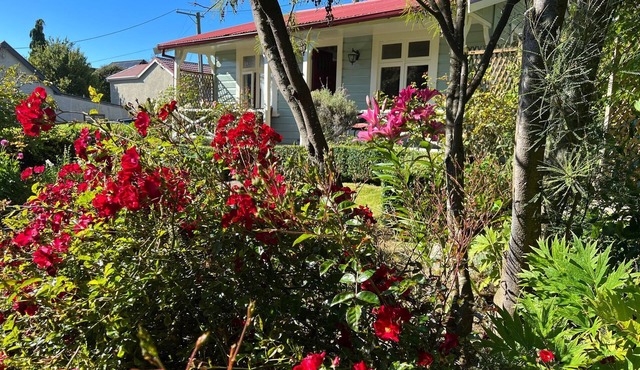 The Albion Cottage in beautiful colourful garden