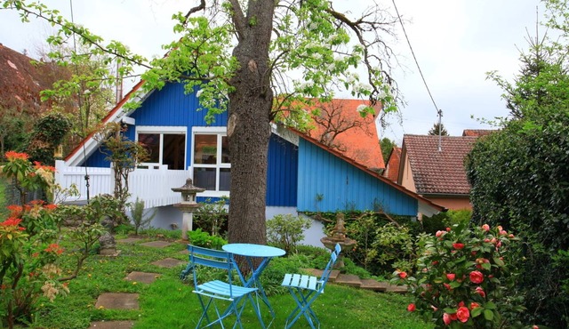 The little paradise - for a paradisiacal vacation!