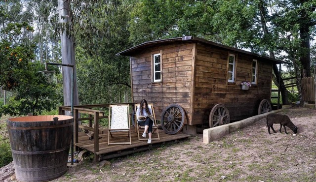 The Western Wagon