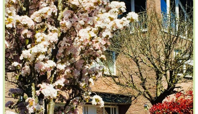 Top vacation apartment Raesfeld, close to the castle, central