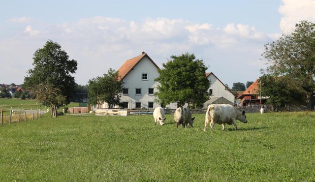Traubshof
