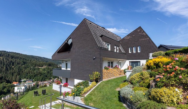 Triberg-Blick Apartment with Mountain View, Terrace and Wi-Fi