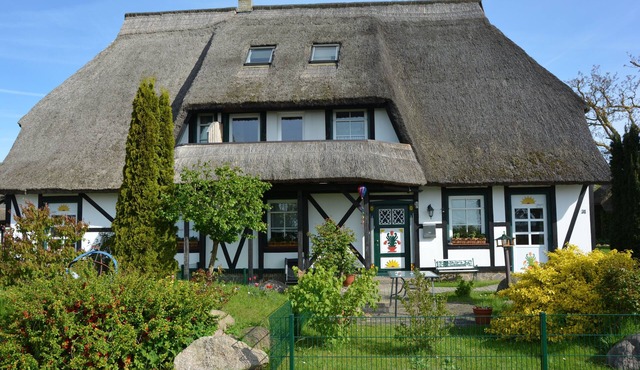 U -,Mönchgutperle, Germany