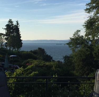 Upper Level with a view in Everett
