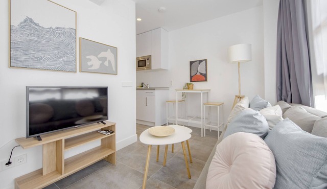 Urban Retiro Apartment in Madrid
