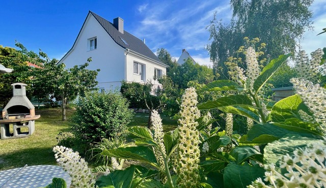 Urlaub auf der Insel Rügen in der Ferienwohnung "lachmöwe"