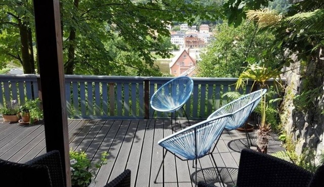 Vacation apartment/apartment for 2 guests with 25m² in Stadt Wehlen /OT Pötzscha (165017)