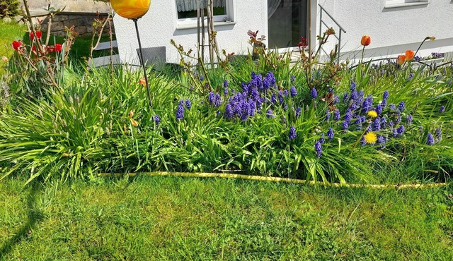 Vacation apartment/apartment for 4 guests with 60m² in Rabenau-Spechtritz (167671)
