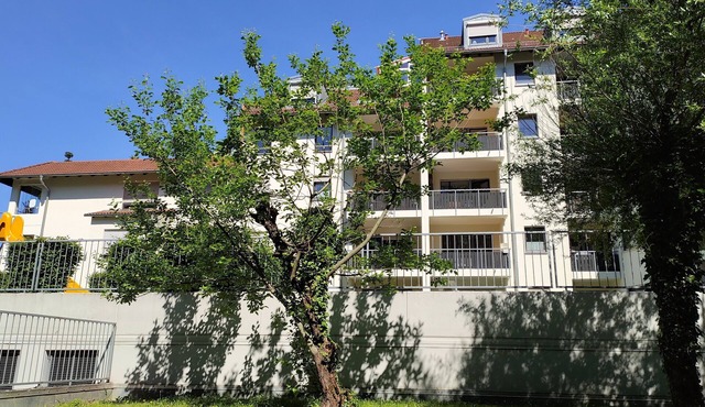 Vacation apartment/apartment for 6 guests with 80m² in Friedrichshafen (165687)