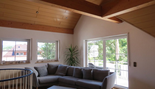 Vacation apartment/apartment for 6 guests with 160m² in Ettenheim (117771)