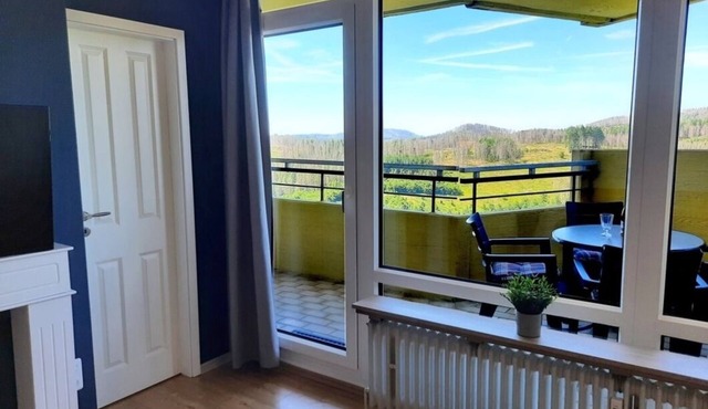 Vacation apartment/apartment for 4 guests with 49m² in Hohegeiß (308493)