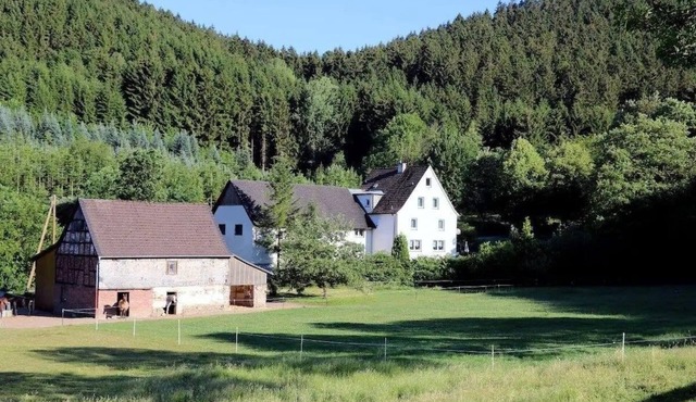 Vacation apartment/apartment for 4 guests with 80m² in Sundern (250891)