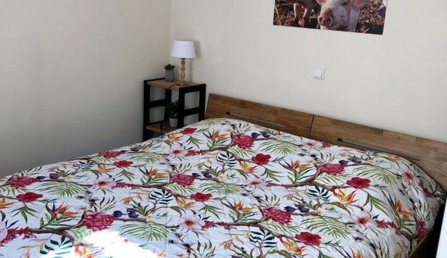 Vacation apartment/apartment for 4 guests with 25m² in Merzen (121131)