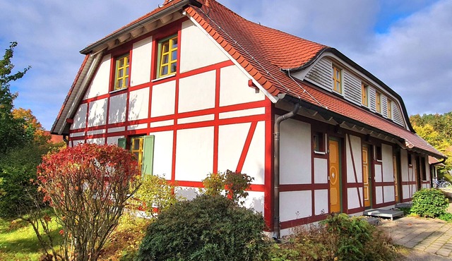 Vacation apartment Traumstrand B 31, approx. 350 m to the Baltic Sea - Ferienwohnung Traumstrand