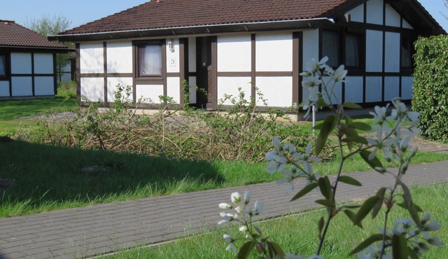 Vacation home 71 Scout 48sqm for max. 4 persons with pet - Holiday home Scout 48