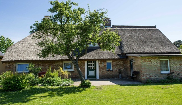 Vacation home Augustin with thatched roof - Holiday home Augustin with thatched roof in Ostseebad